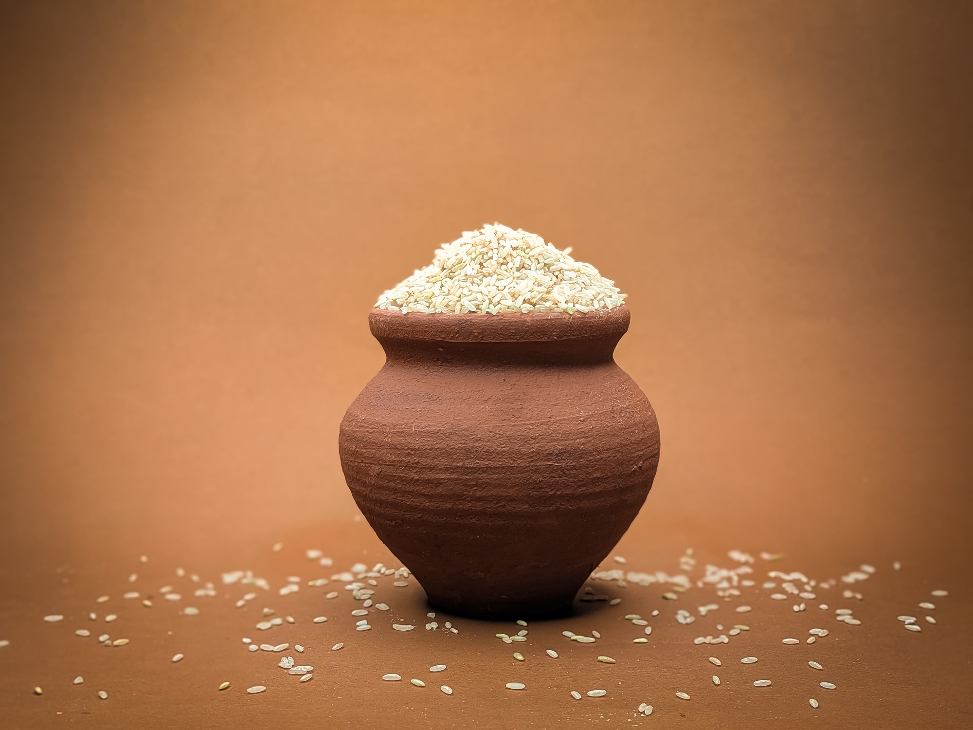 Mysore Malliga - Image 5